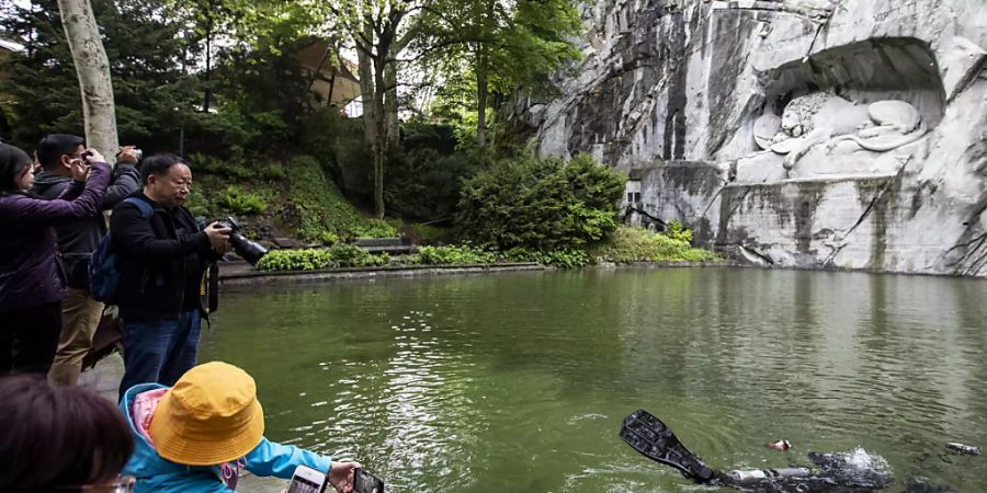 Für viele Touristen ein beliebtes Fotosujet: Die Unterwasserfotografin Heidi Hostettler testet ihren Tauchgang im Teich vor dem Luzerner Löwendenkmal.