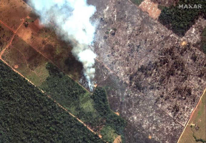 Seit mehreren Wochen wüten im Amazonasgebiet zahlreiche Waldbrände. Waldbrand im Amazonas