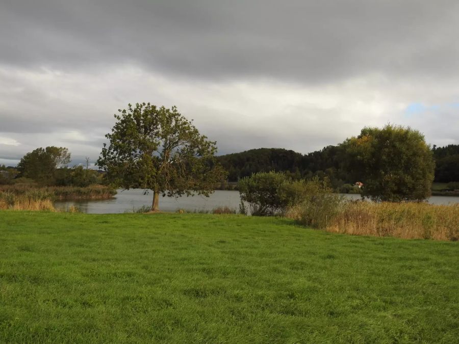 Der Moossee in Münchenbuchsee.