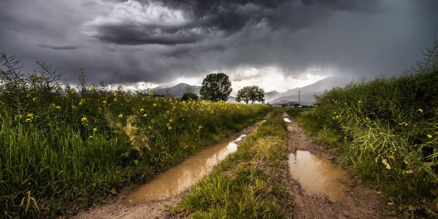 Wetter Gewitter