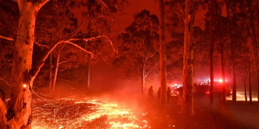 Waldbrand in Australien