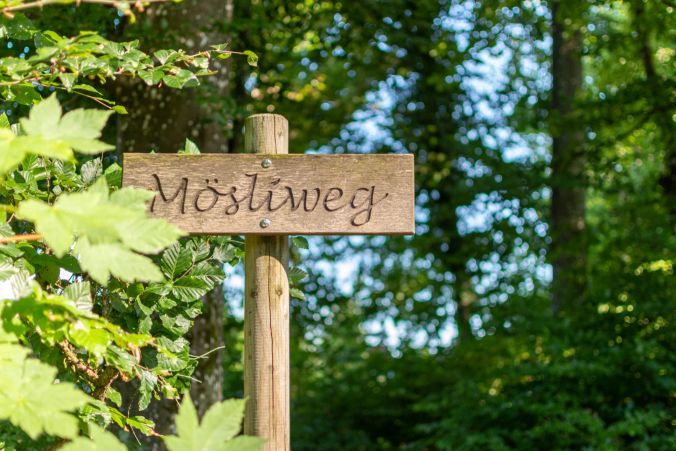 Die Pirol-Hütte in Dintikon steht direkt neben Wald und dem Mösliweg.
