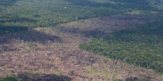 Luftblick auf abgeholzte Fläche des Amazonas. Amazonas