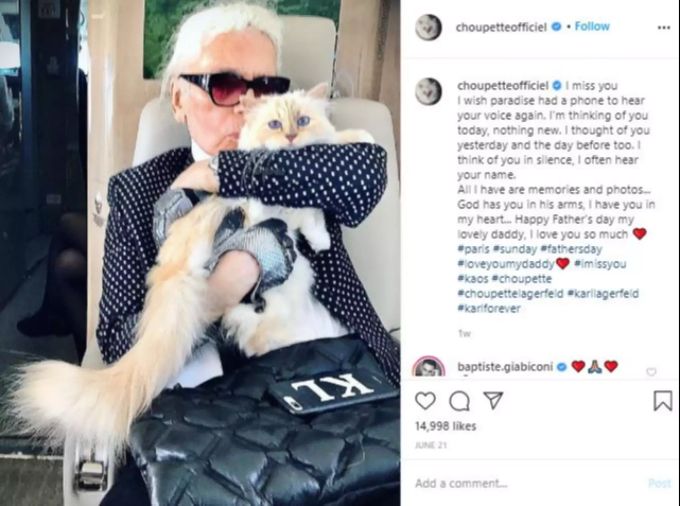 Büsi Choupette liebt den Luxus. choupette