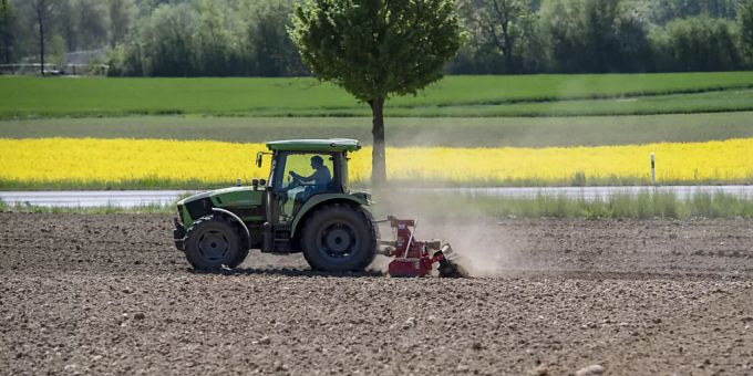 Bauern warteten sehnsüchtig auf Niederschlag. (Symbolbild) Erste Schauer