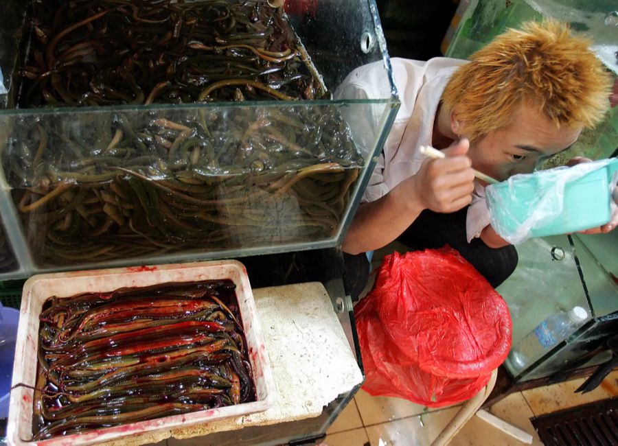 wet market