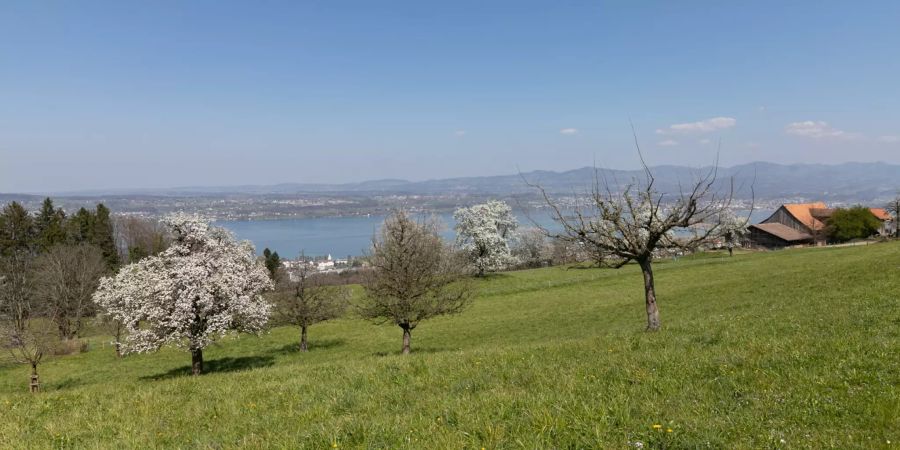 Landschaft bei Feusisberg.