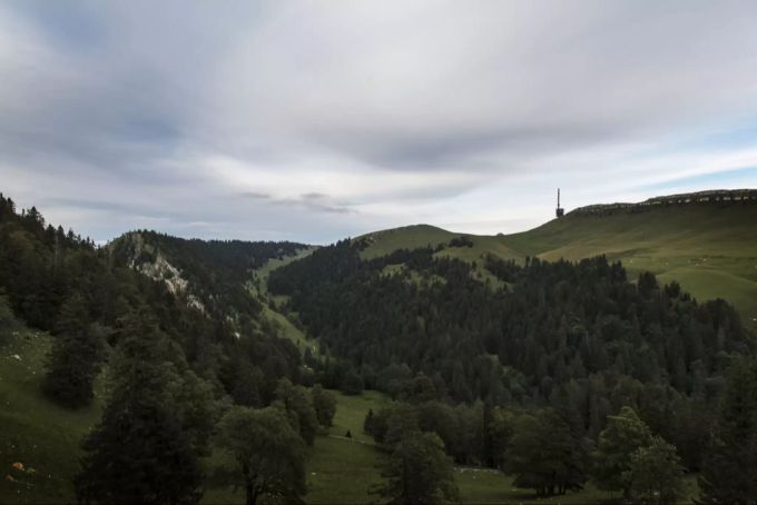 Ein Waldstück am Chasseral im Jura (Archivbild). Wald
