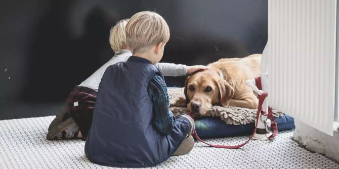 Hund mit Kindern