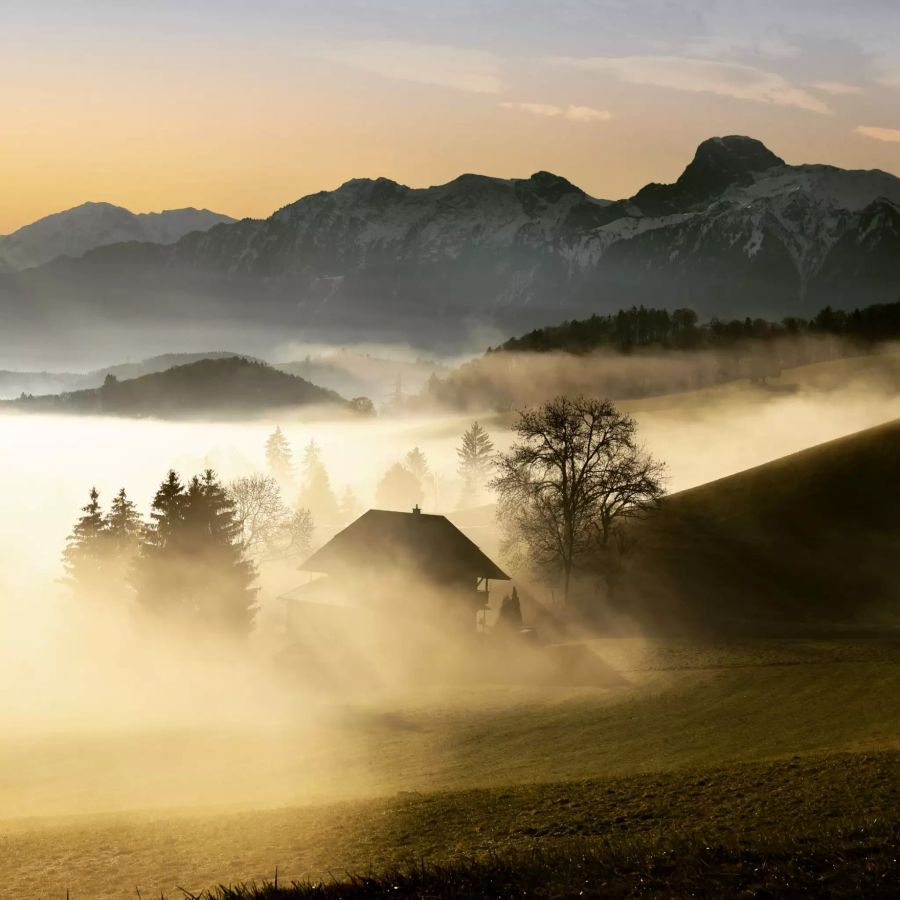 Morgenstimmung