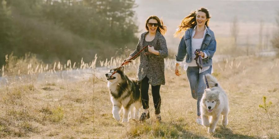 ZWei Frauen mit Hund