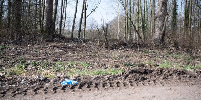 Ein 14-Jähriger stehe im Verdacht, den 13-Jährigen getötet zu haben. Tötungsdelikt Sinsheim