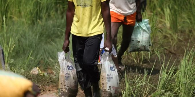 Mehr als 31 Millionen Menschen in West- und Zentralafrika von Hunger bedroht Mehr als 31 Millionen Menschen in West- und Zentralafrika von Hunger bedroht