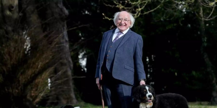 Michael D. Higgins, Präsident von Irland, zeigt bei einem Spaziergang seinen neuen fünf Monate alten Berner Sennenhund Misneach (r, Irisch für «Mut»). Foto: Tony Maxwell/Aras an Uachtarain/dpa
