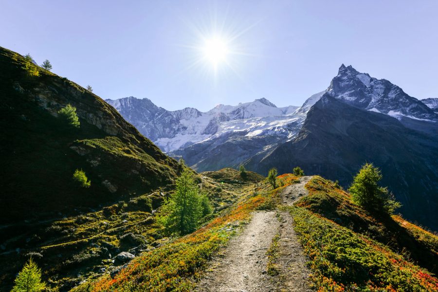 Alpenpanorama