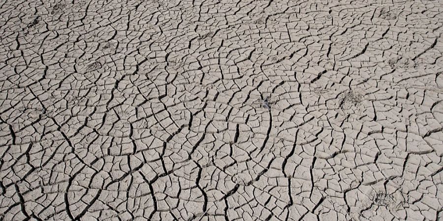 Auf die Natur basierende Lösungen könnten laut WWF verhindern, dass es in der Landwirtschaft zu Dürren kommt. (Symbolbild)
