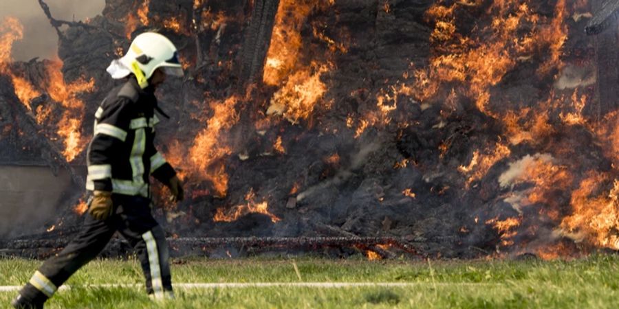 Feuerwehrmann Wasseramt Feuerteufel