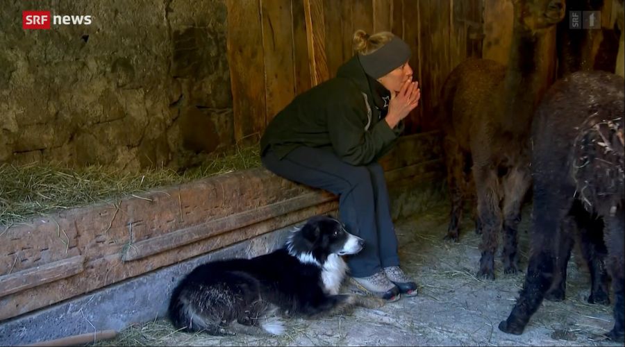 Die Frau von Urs Elmer spricht in dem Beitrag von «Schweiz aktuell» nicht in die Kamera. Ihr ist der Schock aber klar anzusehen.