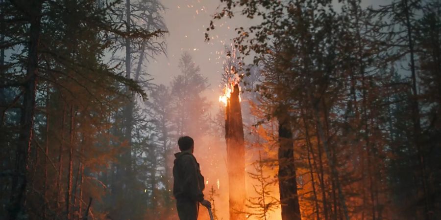 waldbrand russland