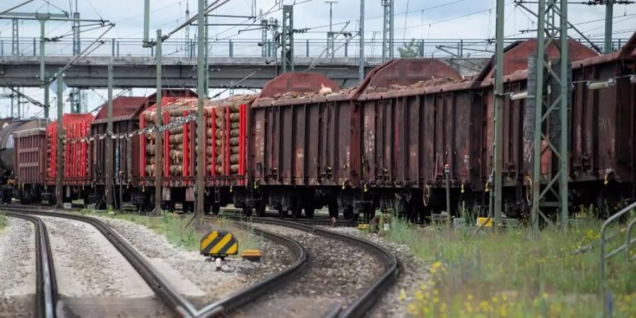 Auch im Güterverkehr gab es in Deutschland im vergangenen Jahr Verluste für die Schiene. Foto: Sven Hoppe/dpa/Archivbild