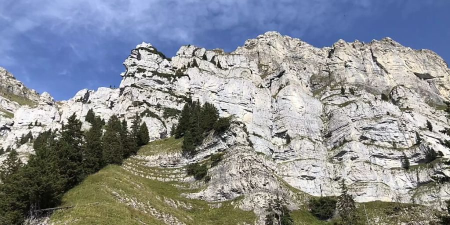 In Walenstadtberg SG ist ein 50-jähriger Australier bei einem Flug mit dem Wingsuit tödlich verunglückt. Er startete von einem in der Szene beliebten Absprungplatz namens «Fatal Attraction».