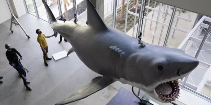 Eine Kunststoff-Nachbildung von «Bruce», dem Hai aus Steven Spielbergs «Der weisse Hai» von 1975, im Academy Museum of Motion Pictures. Foto: Chris Pizzello/Invision/AP/dpa Eine Kunststoff-Nachbildung von «Bruce», dem Hai aus Steven Spielbergs «Der weisse Hai» von 1975, im Academy Museum of Motion Pictures. Foto: Chris Pizzello/Invision/AP/dpa