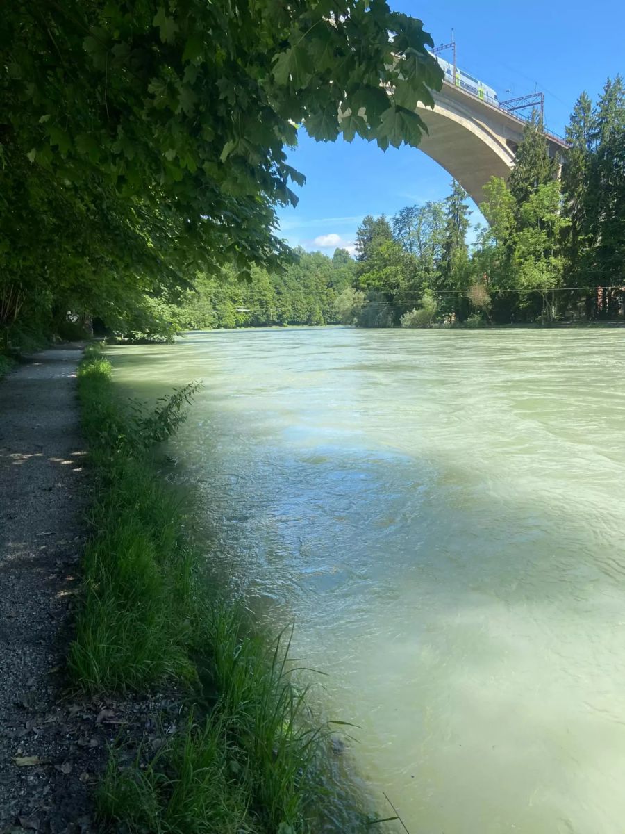 Die Aare überschwemmt an gewissen Stellen beinahe das Ufer.