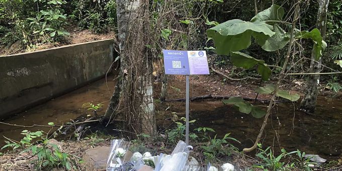 Die Schweizerin wurde bei einem Wasserfall auf Phuket tot aufgefunden. Sie war laut Polizei offenbar vergewaltigt und ermordet worden. (Archivbild) Phuket Mord