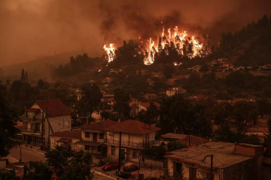 Ein Feuer verschlingt die Bäume in seinem Weg, während sich die Waldbrände dem Dorf Gouves nähern.