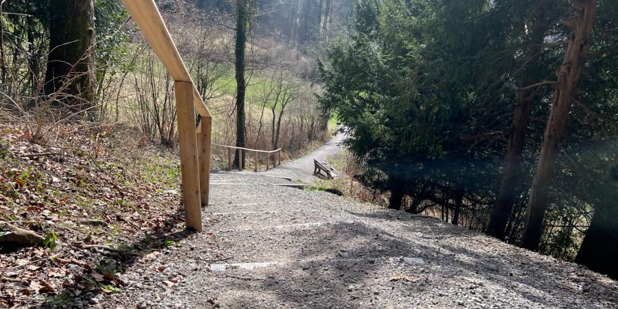 Weg von Uetliberg nach Stallikon