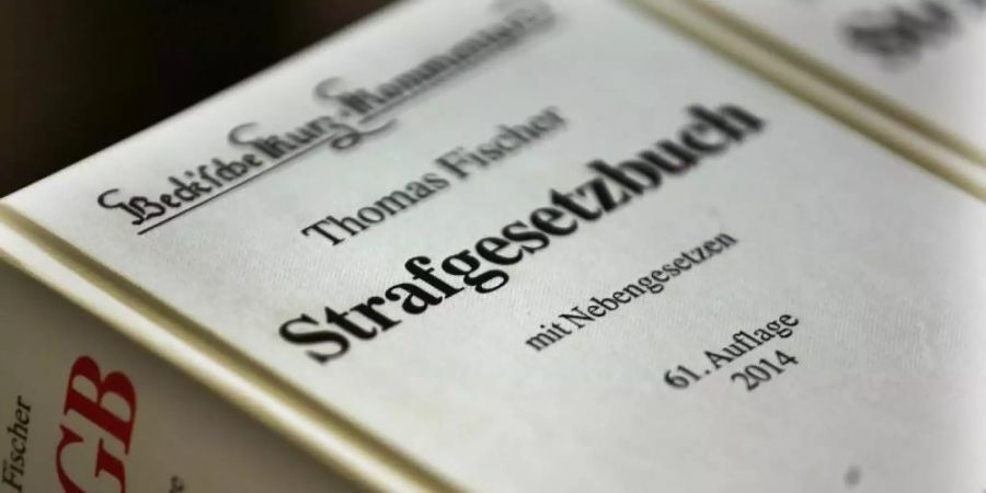 Der Angeklagte soll zusammen mit anderen die Netzplattform «Fraudsters» gegründet haben. Das Forum mit Bezug zu dem englischen Begriff für «Betrüger» wurde Anfang April 2019 abgeschaltet. Foto: Oliver Berg/dpa/Symbolbild