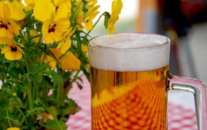 Französische Gesundheitsverbände rufen die Franzosen zu einem «trockenen Januar» auf. Bier