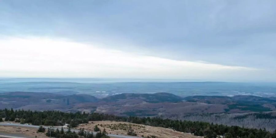 Eine einfache Fahrt mit der Harzer Schmalspurbahn (HSB) kostet ab 1. März 31 Euro statt 29 Euro. Foto: Klaus-Dietmar Gabbert/dpa-Zentralbild/ZB