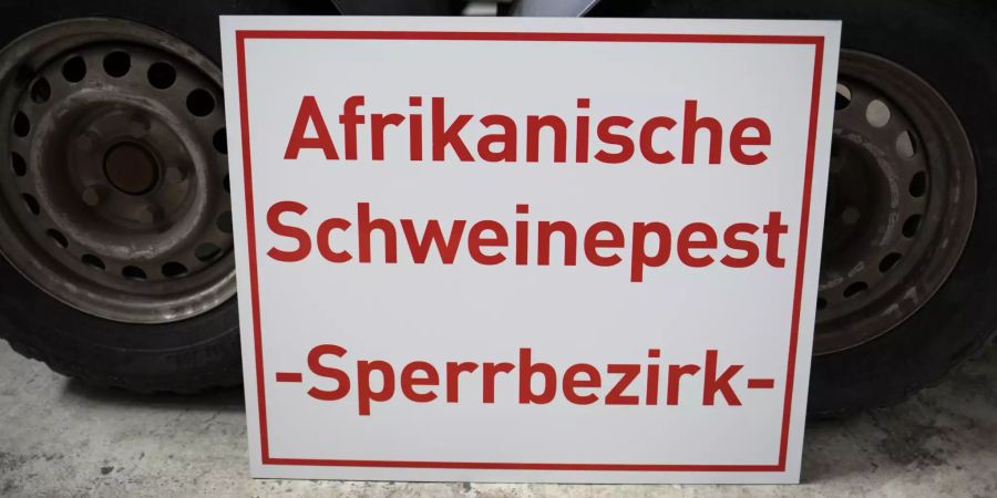 Afrikanische Schweinepest