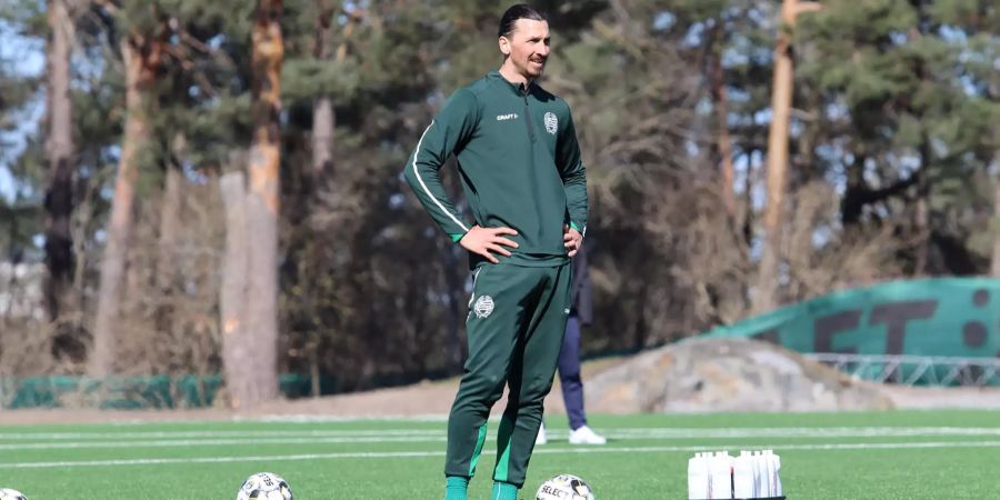 Zlatan Ibrahimovic beim Training mit Hammarby IF.