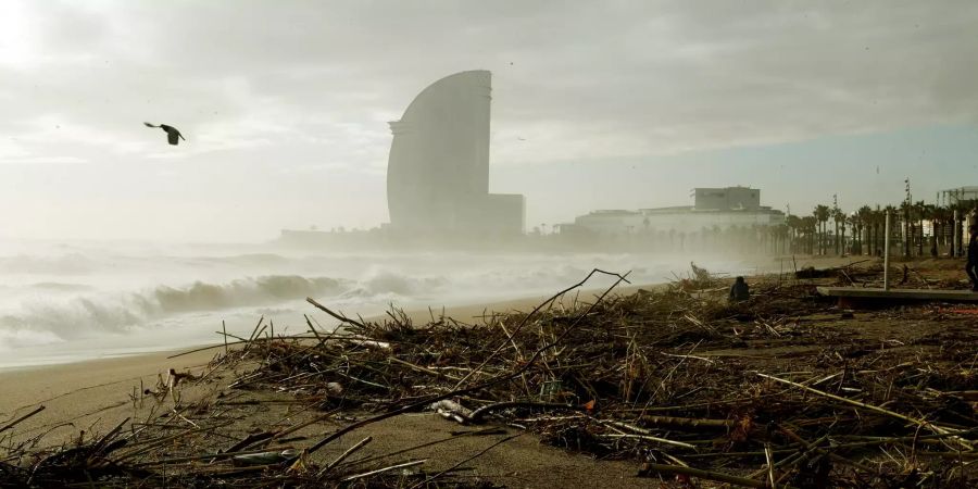 Storm Gloria aftermath