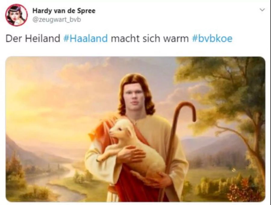 Erling Braut Haaland BVB