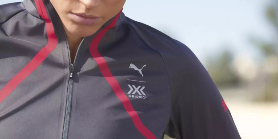 puma