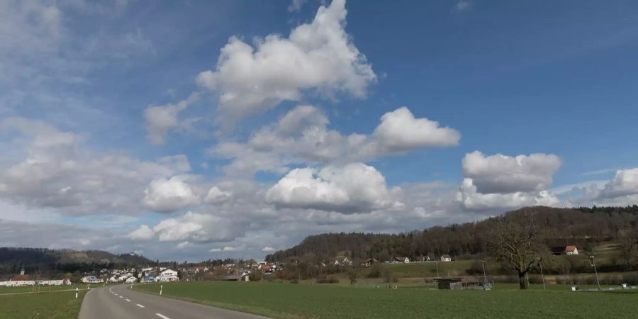 Landschaftsaufnahme bei Hendschicken.