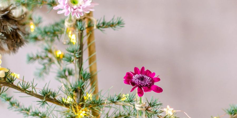 Wer es bunt am Baum mag, kann auch Chrysanthemen an die Zweige hängen. Dafür braucht man nur Bindfaden und Blumenröhrchen.
