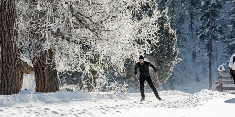 Langlauf Loipe Schweiz Engadin