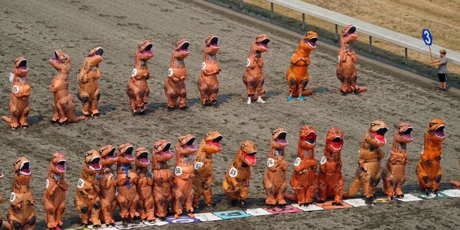 T-Rex Rennen