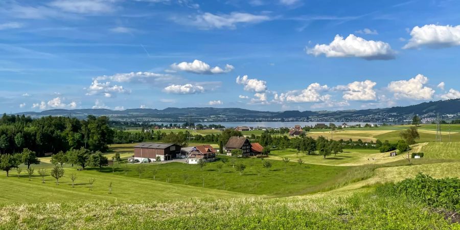 Der Ausblick zum Zugersee aus Meierskappel.