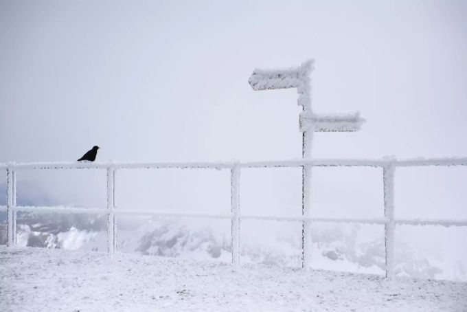 Der Winter hält Einzug. schnee wetter