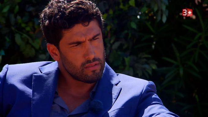 der bachelor