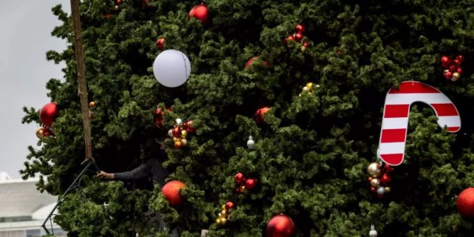 Weihnachtsbaum Weihnachtsbaum