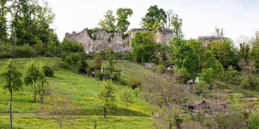 Die römischen Ruinen Wartenberg in Muttenz.
