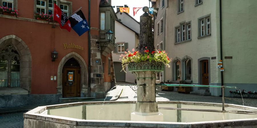 Der Dorfbrunnen und im Hintergrund das Rathaus in Laufenburg.