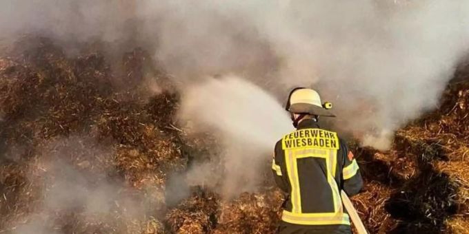 Die Feuerwehr löscht den rund 2500 Kubikmeter grossen brennenden Misthaufen. Foto: --/Feuerwehr Wiesbaden/dpa Die Feuerwehr löscht den rund 2500 Kubikmeter grossen brennenden Misthaufen. Foto: --/Feuerwehr Wiesbaden/dpa