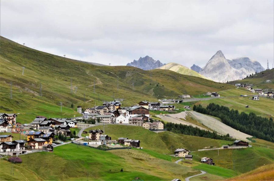 Das Dorf Trepalle